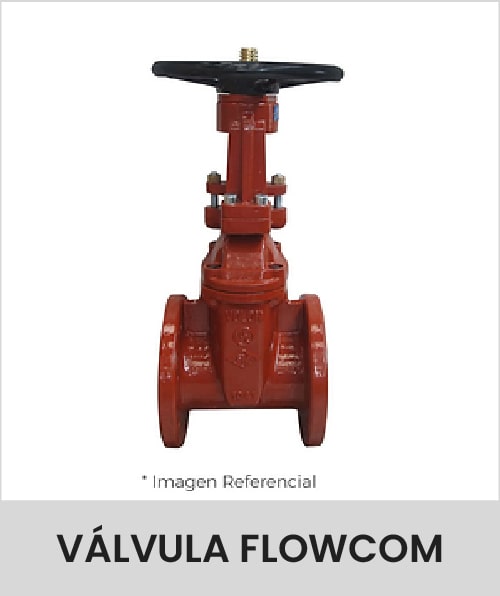 Descripción de la imagen